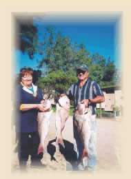 Port Victoria has excellent fishing