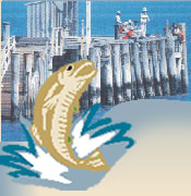 Fish abound at Port Victoria and fishing is just a short walk from the Gulfhaven Caravan Park on the Yorke Peninsula in South Australia
