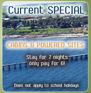 specials