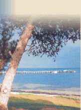 View from Gulfhaven Caravan Park Port Victori South Australia