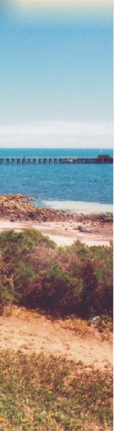 Scenery from the Gulfview Caravan Park