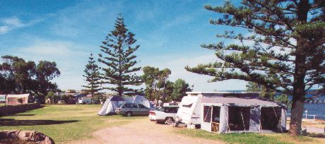 Variety of powered and unpowered sites at Gulfhaven Caravan Park