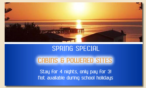 gulfhaven winter special